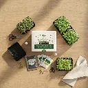 pomelli-image (1).webp